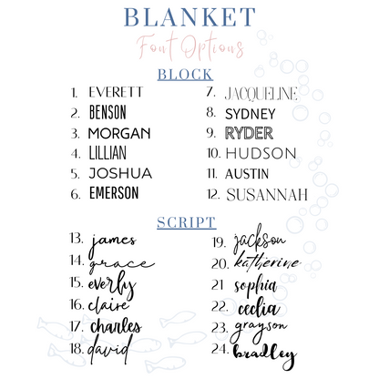 Gray Blue Gingham Name Minky Velveteen Plush Blanket